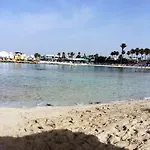 Christopher's Sandy
